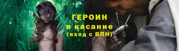 сатива Аркадак