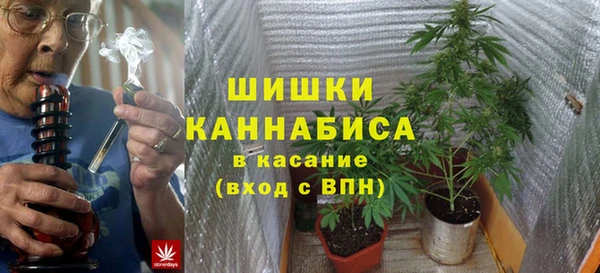 сатива Аркадак