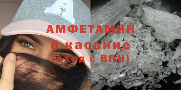 сатива Аркадак