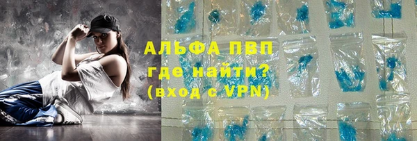 сатива Аркадак