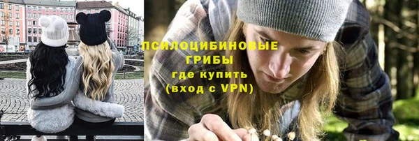 сатива Аркадак