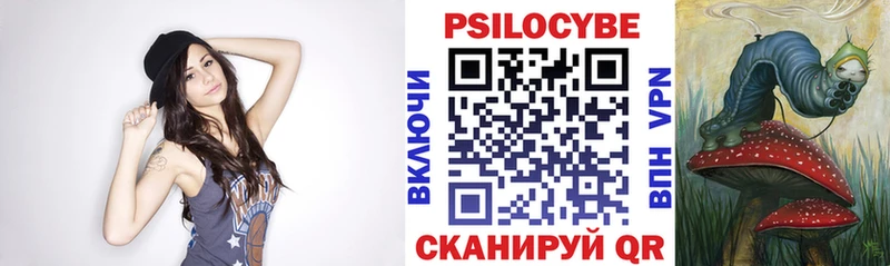 mega ТОР Орлов Псилоцибиновые грибы Psilocybine cubensis